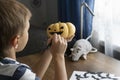 Boy holds orange round pumpkin and draws smiling face on it.