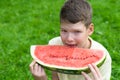 The boy holds a slice of red watermelon and wants to bite off a slice, looking forward Royalty Free Stock Photo