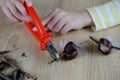 boy holds tree branches, chestnut, tools, child make chestnut man, handmade crafts from improvised natural material, concept