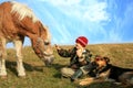 Boy, horse and dogs Royalty Free Stock Photo