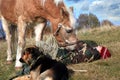 Boy, horse and dogs Royalty Free Stock Photo