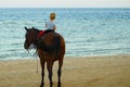 A boy on horseback rides on the beach. Cute little boy looking at sunset. Back view copy space