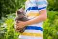 Boy hugging a cat with lots of love. Close up portrait of kitten Royalty Free Stock Photo
