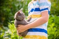 Boy hugging a cat with lots of love. Close up portrait of kitten Royalty Free Stock Photo