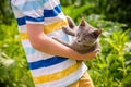 Boy hugging a cat with lots of love. Close up portrait of kitten on hands. Playing with a cat on village countryside Royalty Free Stock Photo