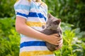 Boy hugging a cat with lots of love. Close up portrait of kitten on hands. Playing with a cat on village countryside Royalty Free Stock Photo