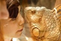 Boy with iguana lizard through the glass in zoo Royalty Free Stock Photo