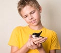 Boy with injured swallow bird in his hands close up. Saving wild