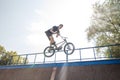 Boy jumping with BMX Bike at skate park Royalty Free Stock Photo