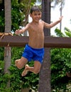 Boy jumping into a swimming pool Royalty Free Stock Photo