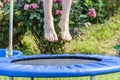 Boy jumping on trampoline in backyard Royalty Free Stock Photo