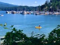 Young Boy kayaking in the water at Panorama Park in N. Vancouver, August 25, 2020