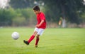 Boy kicking soccer ball Royalty Free Stock Photo