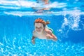 Boy kid swim and dive underwater. Under water portrait in swim pool. Child boy diving into a swimming pool. Royalty Free Stock Photo