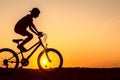 Boy , kid 10 years old riding bike in countryside, teenager making trick on bycicle Royalty Free Stock Photo