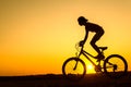 Boy , kid 10 years old riding bike in countryside, teenager making trick on bycicle Royalty Free Stock Photo