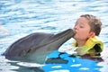 Boy kissing dolphin in pool Royalty Free Stock Photo