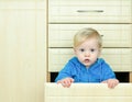 Boy in the kitchen cabinet Royalty Free Stock Photo