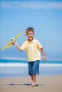 Boy with kite Royalty Free Stock Photo