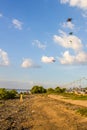 The boy Kite surfing. Royalty Free Stock Photo