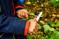 A boy with a knife cleans a stick in the forest. One child plays with a penknife Royalty Free Stock Photo