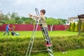 A boy on the ladder is plugging in incandescent lamps in the backyard. Holiday preparation. A family is cleaning the garden