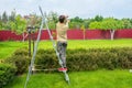 A boy on the ladder is plugging in incandescent lamps in the backyard. Summer preparation