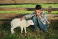 Boy with lamb on the farm Royalty Free Stock Photo