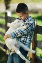 Boy with lamb on the farm Royalty Free Stock Photo