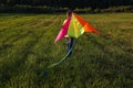 The boy launches a kite. Summer day.The boy in a yellow t-shirt with a kite. A boy of European appearance on the field Royalty Free Stock Photo