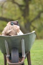 Boy Laying Wheelbarrow Using Mobile Phone Royalty Free Stock Photo