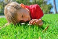 The boy lies on the green grass and looks at small porcini mushrooms Royalty Free Stock Photo