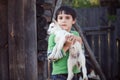 Boy with little goat Royalty Free Stock Photo