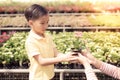 Boy and little plant