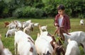 The boy lives in the countryside by raising goats