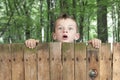 Boy looking from above a fence. Wood landscap Royalty Free Stock Photo