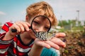 Boy looking at butterfy, kids learning nature Royalty Free Stock Photo