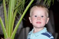 Boy looking at camera on background of palm trees Royalty Free Stock Photo