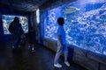 Boy looking at fishes and turtle in oceanarium. In ocean exhibit tank Royalty Free Stock Photo