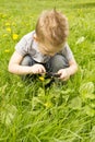 Boy looking through a magnifying glass on the grass Royalty Free Stock Photo