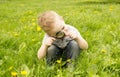 Boy looking through a magnifying glass on the grass Royalty Free Stock Photo