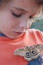 Boy looking at moth Royalty Free Stock Photo