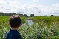 Boy looking out over river and reed bed