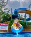 A Boy Looks Happy on a Water Slide in a Water Park