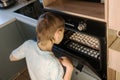 Boy looks into opened oven on white cooking meringue.