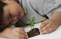Boy looks at a young plant Royalty Free Stock Photo
