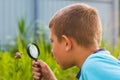 Boy with a magnifying glass Royalty Free Stock Photo