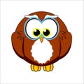 Boy Owl Jungle Characters for kids cartoon