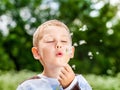 Boy in park blowing on dandelion Royalty Free Stock Photo