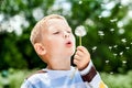 Boy in park blowing on dandelion Royalty Free Stock Photo